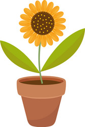 sunflower in a flowerpot icon flat cartoon style vector