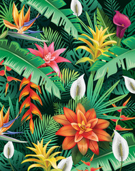 Tropical Flowers Background Vector Image
