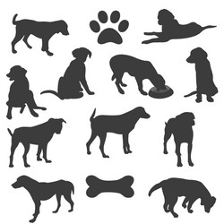 Dog Silhouettes Collection Vector Image