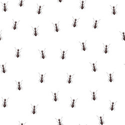 Ant Colony Pattern - White Background vector image