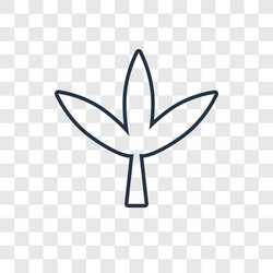 leaf concept linear icon isolated on transparent vector image