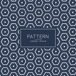 Modern Hexagonal Pattern vector image