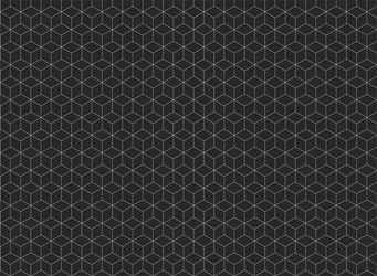 Geometric Hexagon Pattern vector image