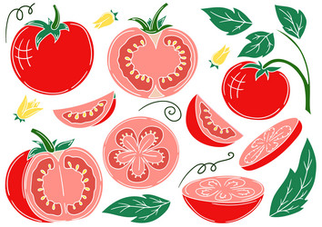 set of color in hand draw style vector image