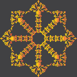 abstract design of a circular pattern round vector image