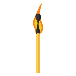 Burning match animation and flame ignite wooden Vector Image