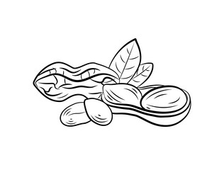 Peanut Black and White Vector Images (over 4,700)