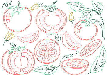 set of color in hand draw style vector image