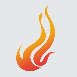 flame icon Vector Image