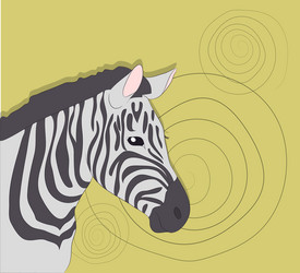 portrait of zebra on a colored background vector