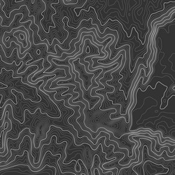 topographic map background with space for copy vector