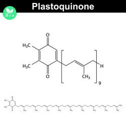 Plastoquinone Structure & Function vector image