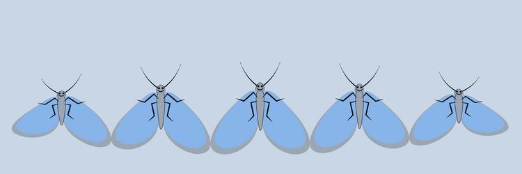 On a sheet of 4x1 format - ribbon vector