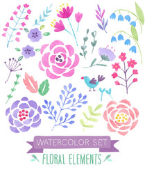 Watercolor Floral Collection Vector Image