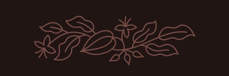 chocolate candy box design element cocoa bean vector
