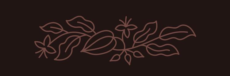 Chocolate candy box design element cocoa bean vector