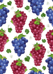 Grape Bunch Seamless Pattern vector
