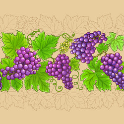 grapes horizontal pattern on color background vector image
