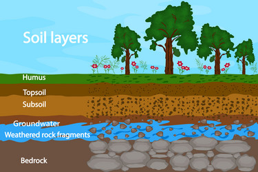 Soil layers diagram for layer vector