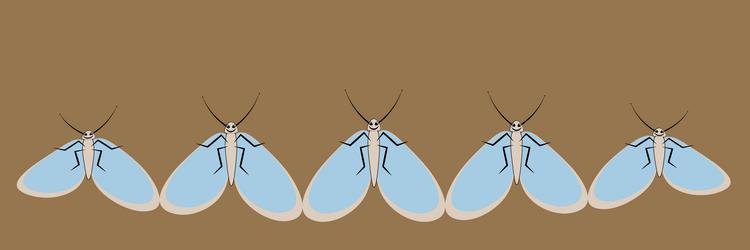 On a sheet of 4x1 format - ribbon vector