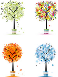Four seasons tree - spring summer autumn winter Vector Image