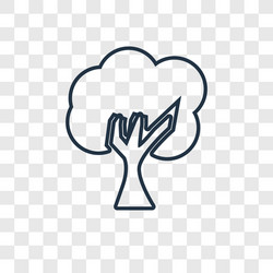 Tree concept linear icon isolated on transparent vector
