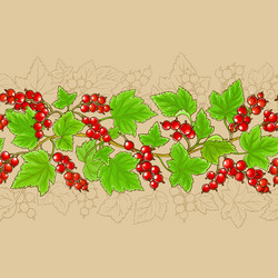 Red currant branches pattern on color background vector