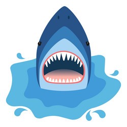 shark head vector