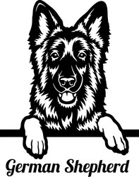 German Shepherd Head - Peeking Dog Vector Image