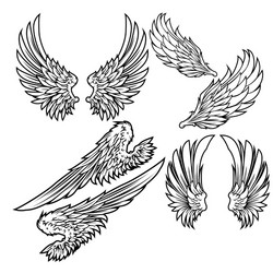 Wings bird feather black white tattoo hawk ange vector