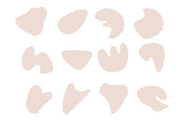 blobs fluid shapes with zig zag lins set vector image