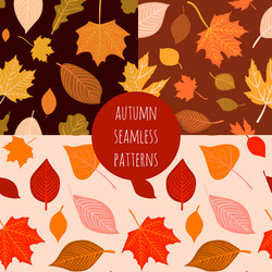 Set hand drawn autumn seamless patterns vector