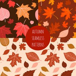Set hand drawn autumn seamless patterns vector
