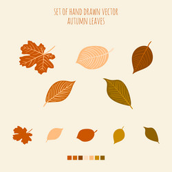 set hand drawn leaves with palette Vector Image