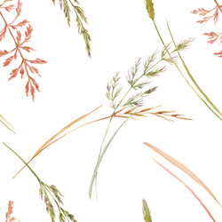 wild field grass pattern Vector Image