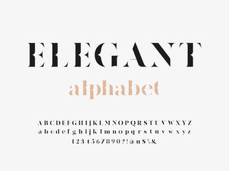 elegant font vector