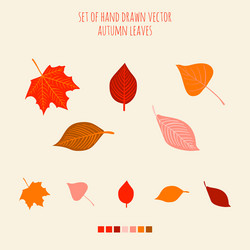 set hand drawn leaves with palette Vector Image