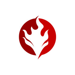 fire flame design vector