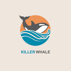 killer whale icon vector