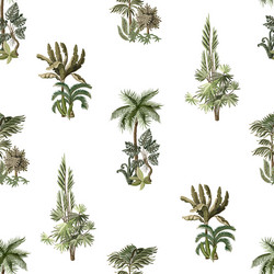 seamless pattern with exotic trees such us palm vector image