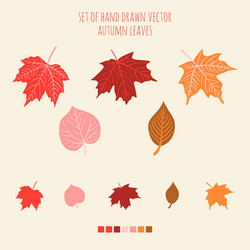 set hand drawn leaves with palette Vector Image