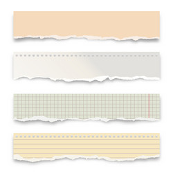 ripped colorful paper strips isolated on white vector