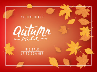 autumn sale banner with leaves Vector Image