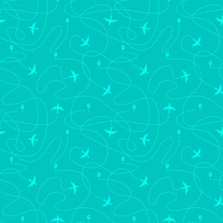 seamless pattern with plane paths and geotags vector image