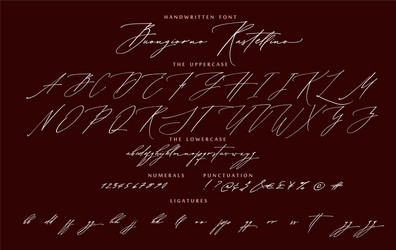 Handwritten script cursive calligraphy font vector