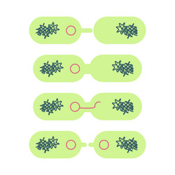 Bacterial conjugation horizontal gene transfer Vector Image