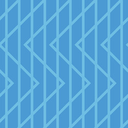 Seamless zigzag pattern decorative vector