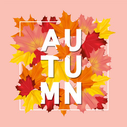 colorful card or banner with autumn leaves Vector Image