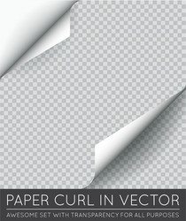 Paper page curl with shadow isolated vector