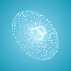 torus consisting points connection vector image